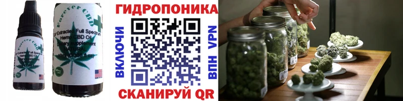 Canna-Cookies марихуана  площадка клад  Баксан 