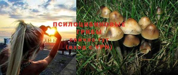 дурь Балабаново