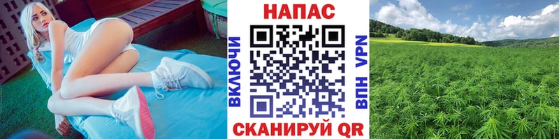 Канабис Ganja Баксан